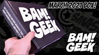 What's inside The Bam! Geek Subscription Box for March 2021?
