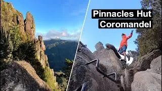Pinnacles Hut | Pinnacles Hike New Zealand | The Coromandel