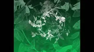 Community Canvas Projcet 2 - Uncut SuMo_D