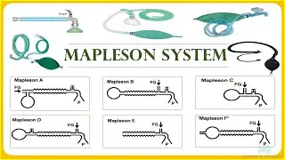 Дыхательная система Mapleson | Дыхательная система для анестезии|