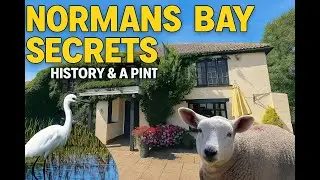 Smugglers, Shipwrecks & a Stranded Whale | History and a Pint: The Star Inn, Normans Bay