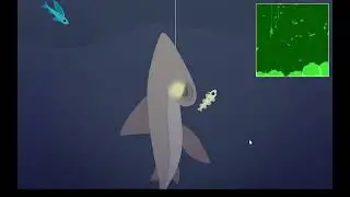 Cat Goes Fishing super droga ryba hamahed shark fish