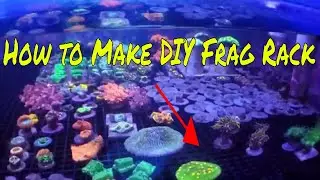 DIY Egg Crate Frag Rack