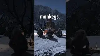 Где найти самые МОЩНЫЕ Тени Кусаригамайн AC!