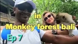 Amazing monkey forest ubud bali || ইন্দোনেশিয়া ভ্রমণ || #baliindonesia #indiatobali