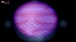 Plasma Treatment of Loop systems | VacuTEC 2020