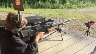 HK PSG1 in Alaska