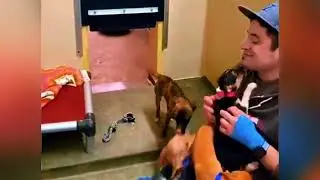 Viral Funny Cats 2025 😹 Internet Breaker |😼🐶Try Not To Laugh😜