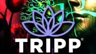 Tripp mindfulness
