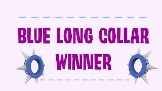 Long Collar Giveaway Winner