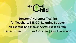 How to recognise Sensory issues in the classroom, Sensory Awareness Training Course for Teachers