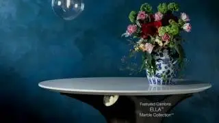The Art of Decorative Plaster