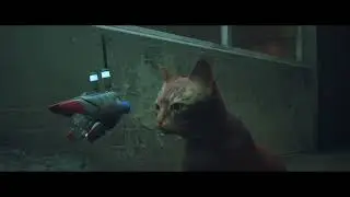 Stray Chapter Jail Walkthrough (GAMELOOTTV)