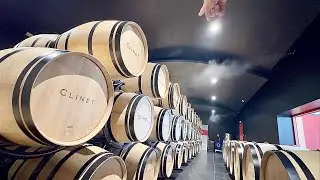 Château Clinet WINE TOUR REVIEW @ Pomerol Saint-Émilion Bordeaux France 🇫🇷