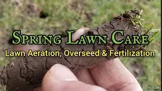 Spring Lawn Care &bull; Aerating, Reseeding and Fertilizing Lawn in the Spring
