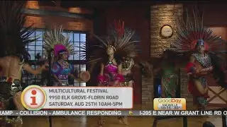 Elk Grove Multicultural Festival
