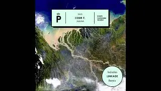 Cour T. - Manta Sonica (Original Mix) [Playground Records]