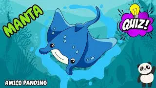Animali per bambini - LA MANTA - Impara gli animali con Pandino - quiz animali - PESCI