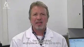 Proyecto ADGUT - Modelos personalizados para el estudio del eje microbiota-intestino-cerebro