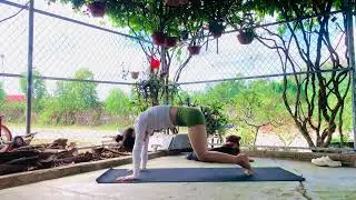 Daily Yoga Stretching Routine | Improve Flexibility, Posture & Full Body Mobility