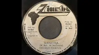 The Iron Phoenix - Sandra【7-21900】