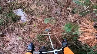 Röjer sly i granplanteringen!