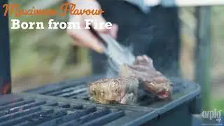 Ozpig Big Pig - The Home BBQ