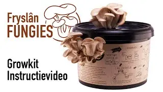 Fryslan Fungies growkit instructievideo