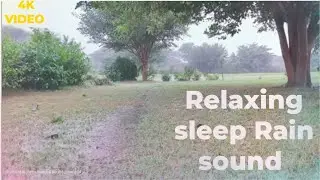 Beautiful Natural Garden Rain 🌧️ Sound - Relaxing sleep Rain sound #naturalsoundpeaceful #rain #4K