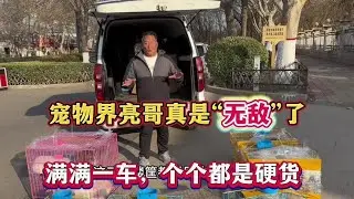 宠物界亮哥真是“无敌”了，开封又拿下满满一车，个个都是硬货