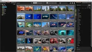 Offline image tagging - automatically generate keywords for images and videos