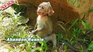 Crying Sad! Poor baby Runnie crying asking more milk by hungry/ Sovana still no skill protect baby