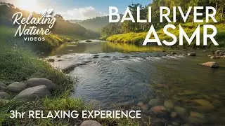 3 Hours Bali River Sounds for Deep Sleep & Stress Relief | ASMR