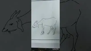how to draw goat🐐to easy way