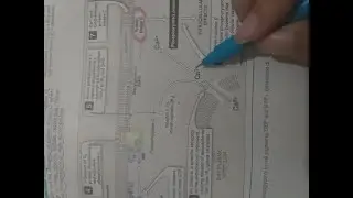 Phospholipids Synthesis part 4| Phosphotidylinositol | signal transduction | Biochemistry
