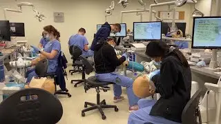 WVU researchers find a link between PFAs and tooth decay