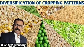 DIVERSIFICATION OF CROPPING PATTERNS