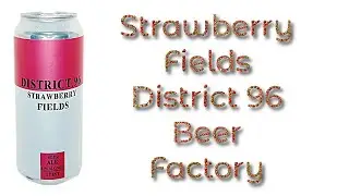 Beer Review №1161  USA - Strawberry Fields - District 96 Beer Factory - Berliner Weisse 6%