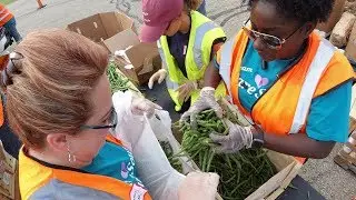 Fresh food