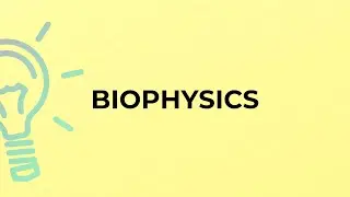 What is the meaning of the word BIOPHYSICS?