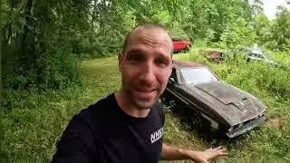 '71 Mustang For $600! 