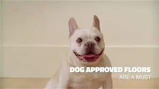 Top Pet-Friendly Flooring Options | Flooring Guide for Dog Owners