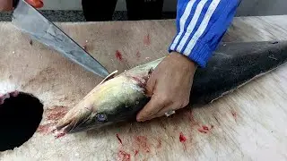 HOW TO FILLET COBIA FISH! *SAFE *To Eat? | Most Meat, No Bones