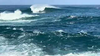 Tenerife Puerto de la Cruz domingo 25 enero 2026