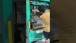 moulded pulp packaging -bottle packing inner tray