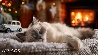 Музыка для сна для кошек 🐈 Глубокая успокаивающая музыка с уютной атмосферой для снятия тревоги