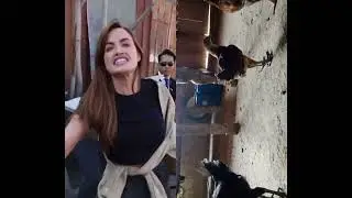 tiktok ban 🤣🤩🐃 #movie #comedy #filmmaking #gaming #money #viral #duet #share #trending