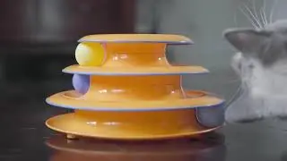 Catstages Tower of Tracks 3 Level Cat Track Toy