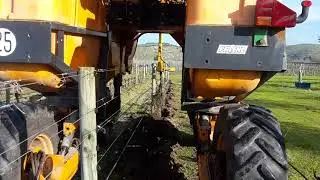 vineyard removal