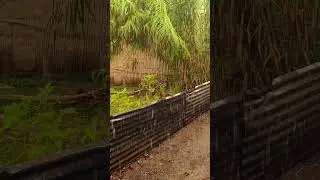 Heavy Rainfall,,,,#heavyrain #manipur #redminote #savemanipur